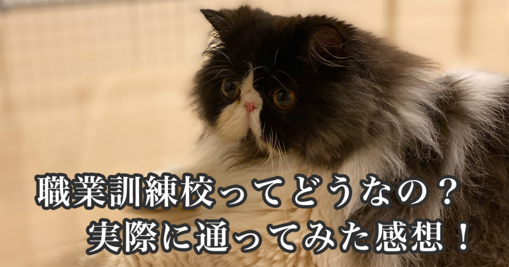 アイキャッチ画像