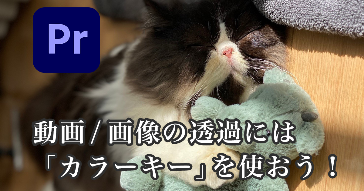 アイキャッチ画像